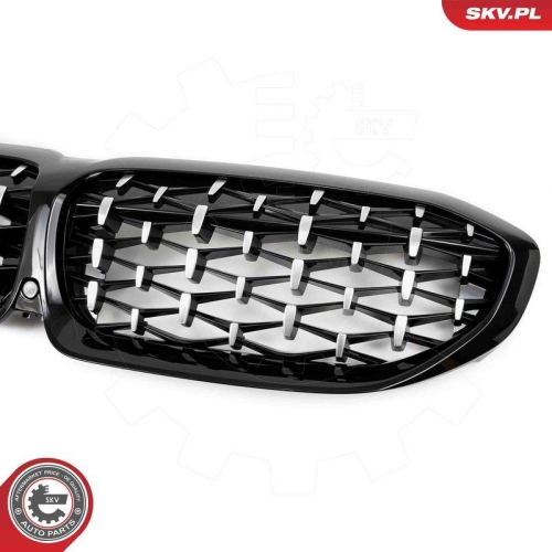 ESEN SKV Kühlergitter