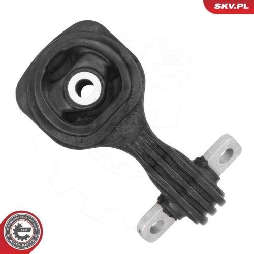 ESEN SKV Lagerung, Motor 75SKV314