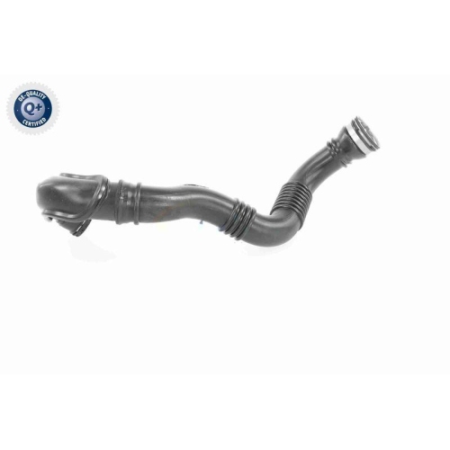 VAICO Ladeluftschlauch Q+, Erstausr&uuml;sterqualit&auml;t V40-9741