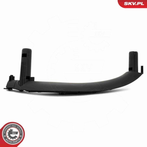 ESEN SKV Türaußengriff