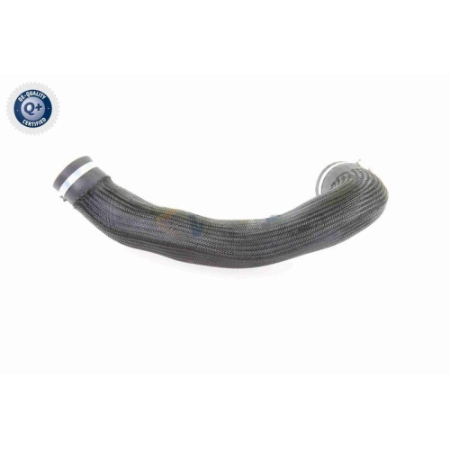 VAICO Ladeluftschlauch Q+, Erstausrüsterqualität V10-3834