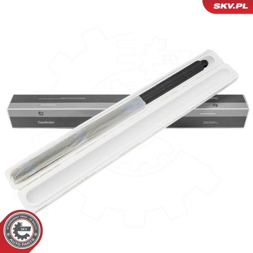 ESEN SKV Elektromotor, Heckklappe 52SKV973