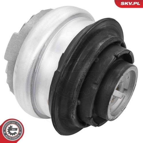 ESEN SKV Lagerung, Motor