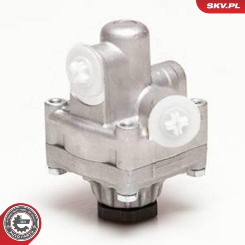 ESEN SKV Hydraulikpumpe, Lenkung 10SKV017