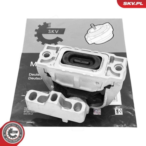 ESEN SKV Lagerung, Motor 75SKV253