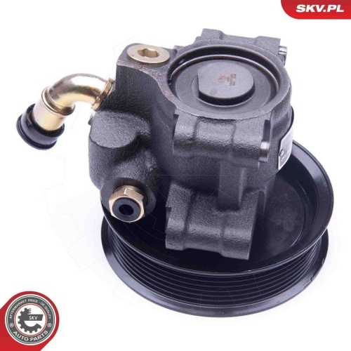 ESEN SKV Hydraulikpumpe, Lenkung 10SKV101