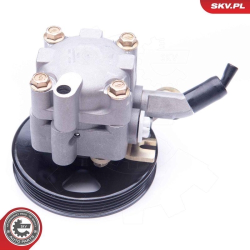 ESEN SKV Hydraulikpumpe, Lenkung 10SKV276