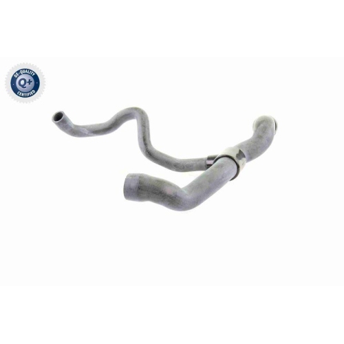 VAICO Kühlerschlauch Q+, Erstausrüsterqualität V30-1660