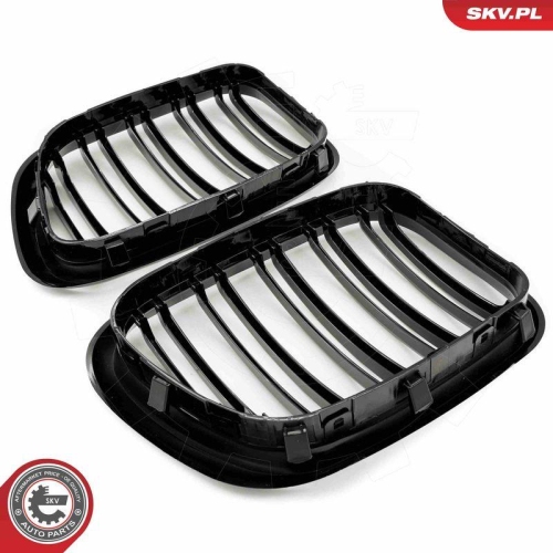 ESEN SKV Kühlergitter