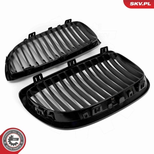 ESEN SKV Kühlergitter