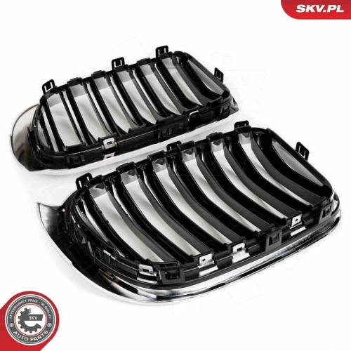 ESEN SKV Kühlergitter