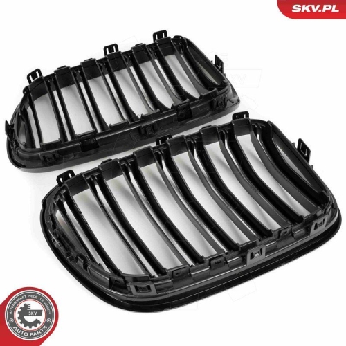ESEN SKV Kühlergitter