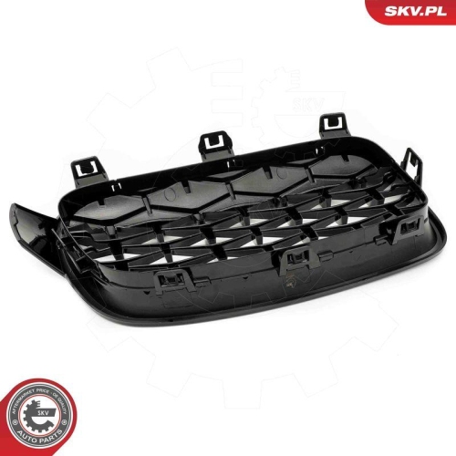 ESEN SKV Kühlergitter