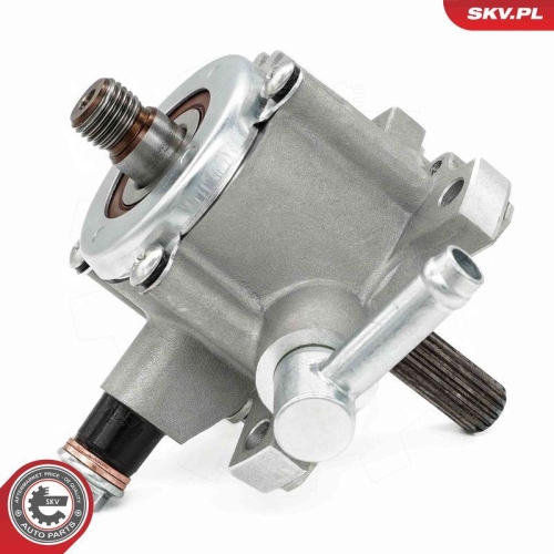 ESEN SKV Unterdruckpumpe, Bremsanlage