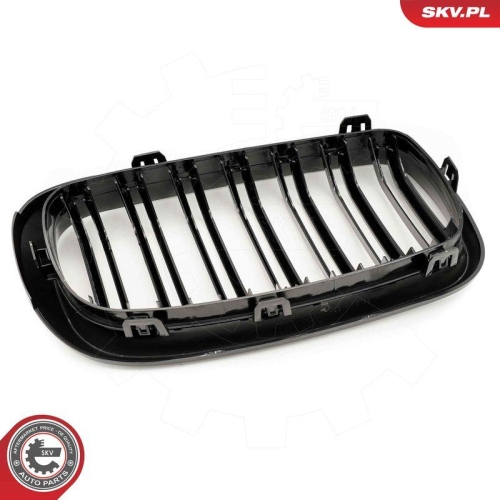 ESEN SKV Kühlergitter