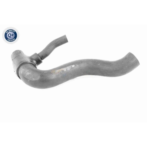 VAICO Kühlerschlauch Q+, Erstausrüsterqualität V30-1951