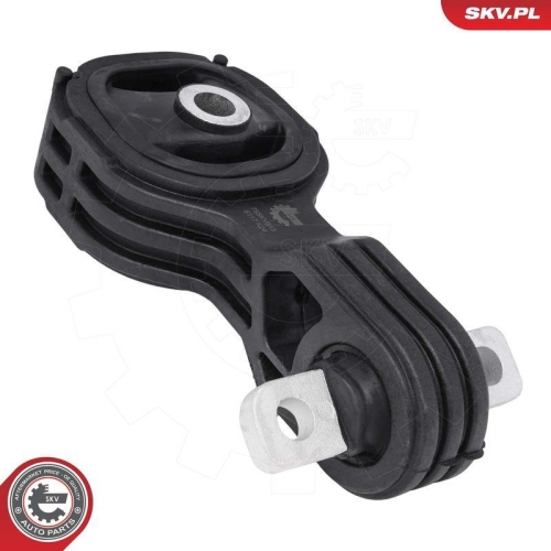 ESEN SKV Lagerung, Motor 75SKV313