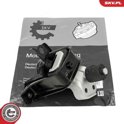 ESEN SKV Lagerung, Motor 75SKV317