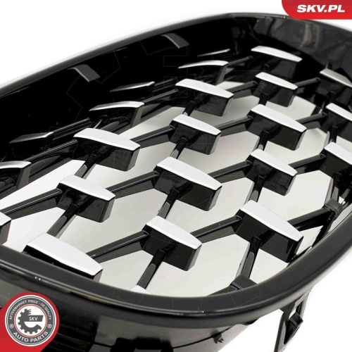 ESEN SKV Kühlergitter