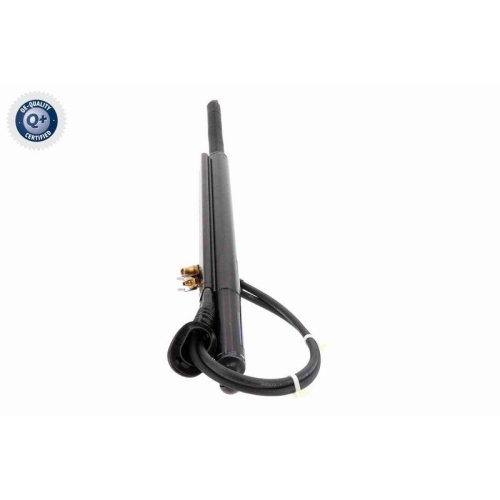 VEMO Elektromotor, Heckklappe Q+, Erstausr&uuml;sterqualit&auml;t V40-55-0001