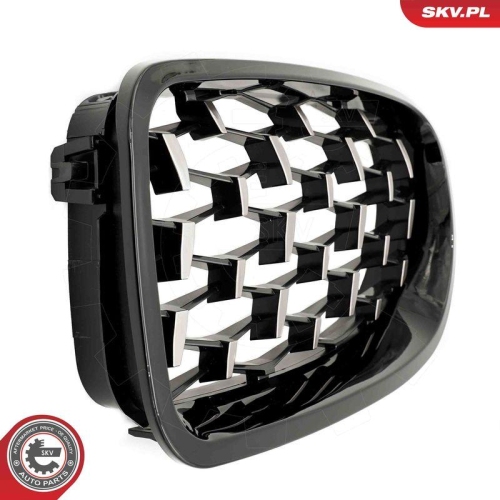 ESEN SKV Kühlergitter