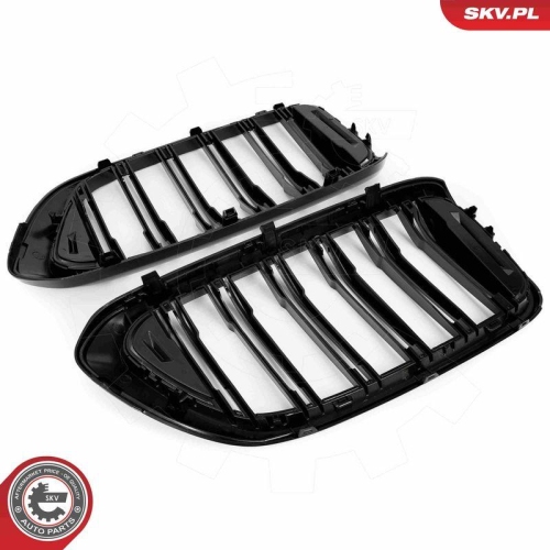 ESEN SKV Kühlergitter