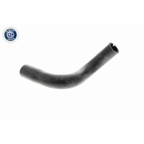 VAICO K&uuml;hlerschlauch Q+, Erstausr&uuml;sterqualit&auml;t V24-0872