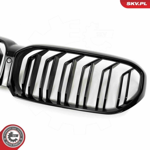 ESEN SKV Kühlergitter