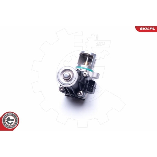 ESEN SKV AGR-Ventil