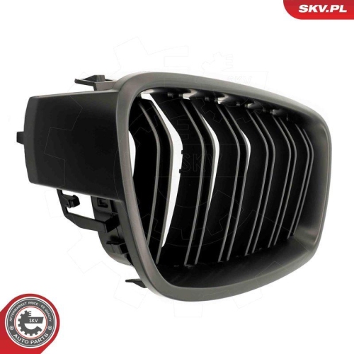 ESEN SKV Kühlergitter