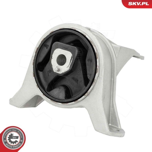 ESEN SKV Lagerung, Motor 75SKV024