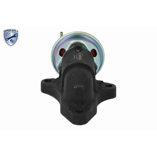 ACKOJA AGR-Ventil EXPERT KITS +