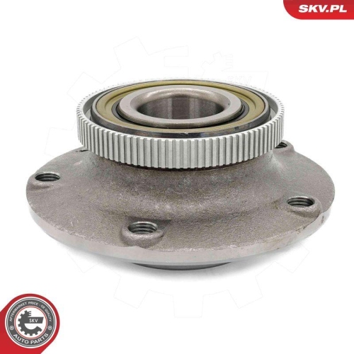 ESEN SKV Radlagersatz