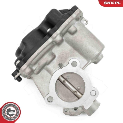 ESEN SKV AGR-Ventil 14SKV281