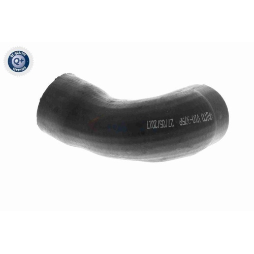 VAICO Ladeluftschlauch Q+, Erstausrüsterqualität V10-3758
