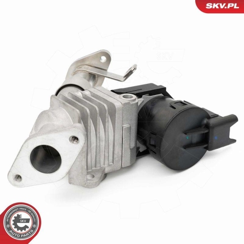 ESEN SKV AGR-Ventil 14SKV287