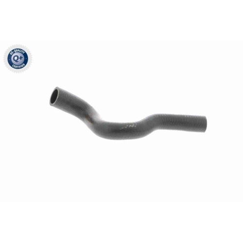 VAICO Kühlerschlauch Q+, Erstausrüsterqualität V20-1704