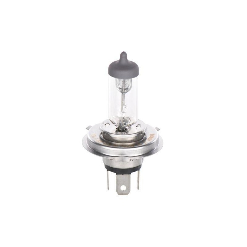 BOSCH Glühlampe, Fernscheinwerfer Longlife Daytime BL 1 987 301 054