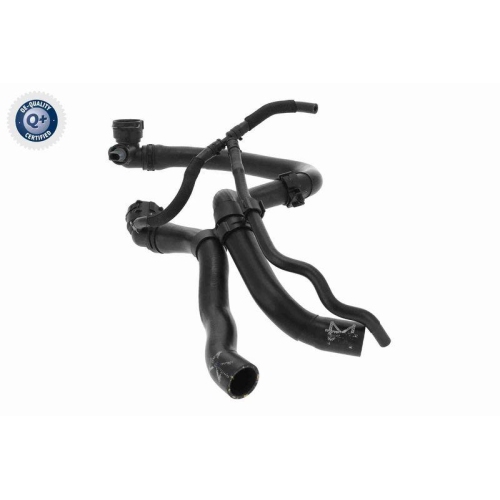 VAICO Kühlerschlauch Q+, Erstausrüsterqualität V10-4884