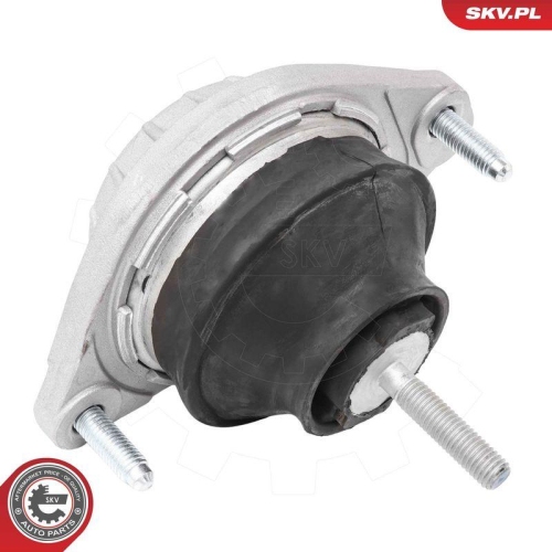 ESEN SKV Lagerung, Motor 75SKV224