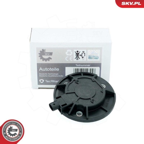ESEN SKV Zentralmagnet, Nockenwellenverstellung 39SKV900