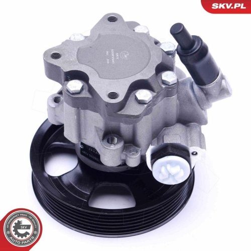 ESEN SKV Hydraulikpumpe, Lenkung 10SKV241
