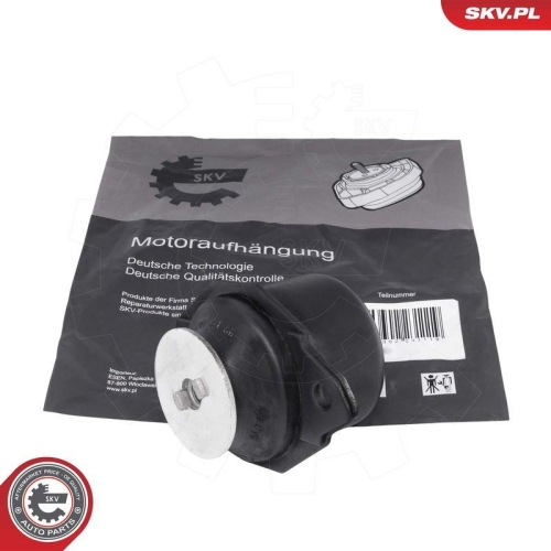 ESEN SKV Lagerung, Motor 75SKV115