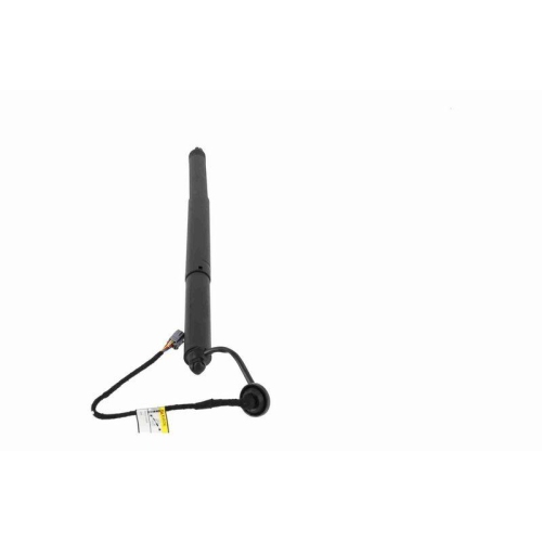 VEMO Elektromotor, Heckklappe Green Mobility Parts V25-55-0019