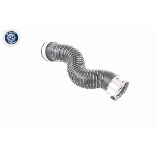 VAICO Ladeluftschlauch Q+, Erstausrüsterqualität V20-3251