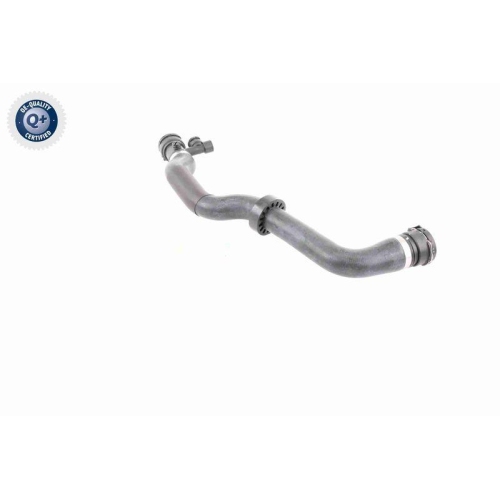 VAICO Kühlerschlauch Q+, Erstausrüsterqualität V20-1777