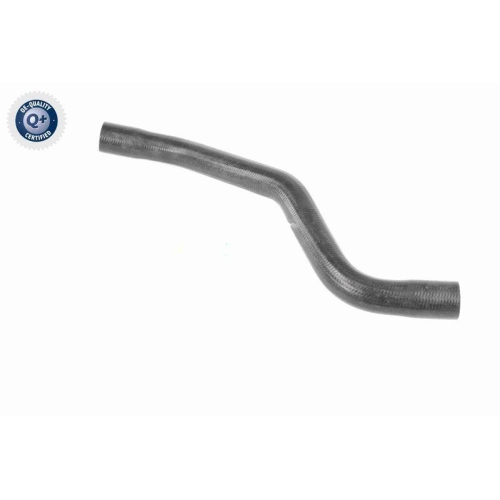 VAICO K&uuml;hlerschlauch Q+, Erstausr&uuml;sterqualit&auml;t V46-0915