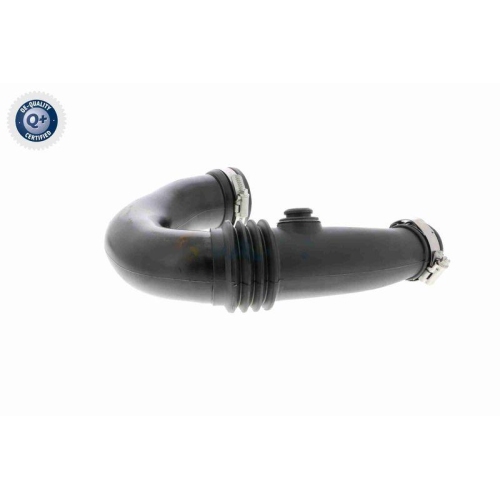 VAICO Ladeluftschlauch Q+, Erstausrüsterqualität V46-0918