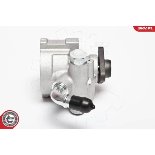 ESEN SKV Hydraulikpumpe, Lenkung