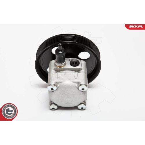 ESEN SKV Hydraulikpumpe, Lenkung